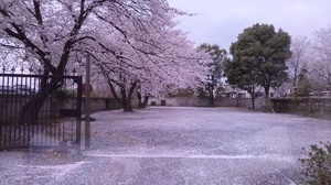 IMG00402.jpg